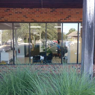 scim exterior commercial window tinting